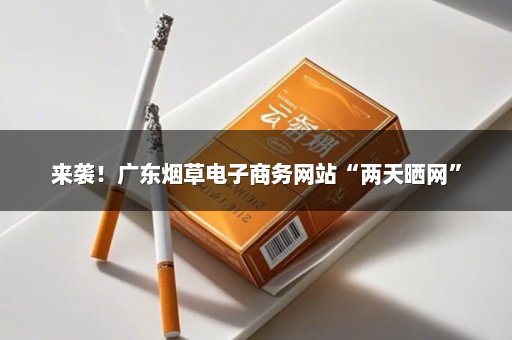 来袭！广东烟草电子商务网站“两天晒网”